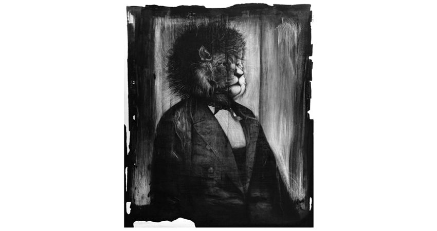 lion - t�cnica mixta sobre madera / 100 x 122 cm